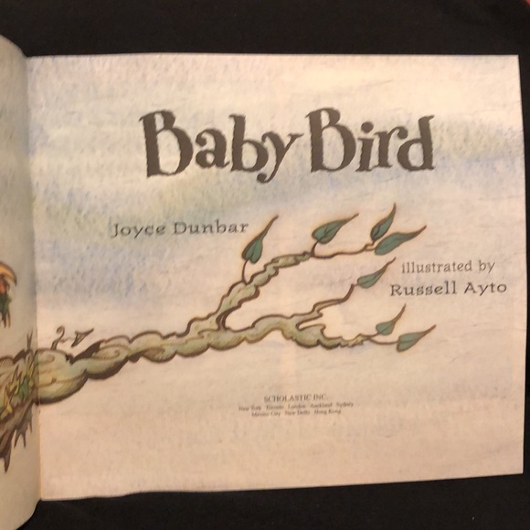 BABY BIRD by JOYCE DUNBAR - SCHOLASTIC CHILDRENS BEAUTIFULLY ILLUSTRATED - #258 - Picture 4 of 8
